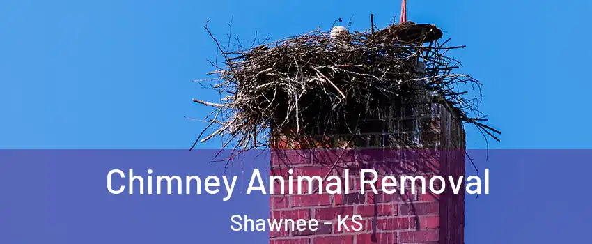 Chimney Animal Removal Shawnee - KS