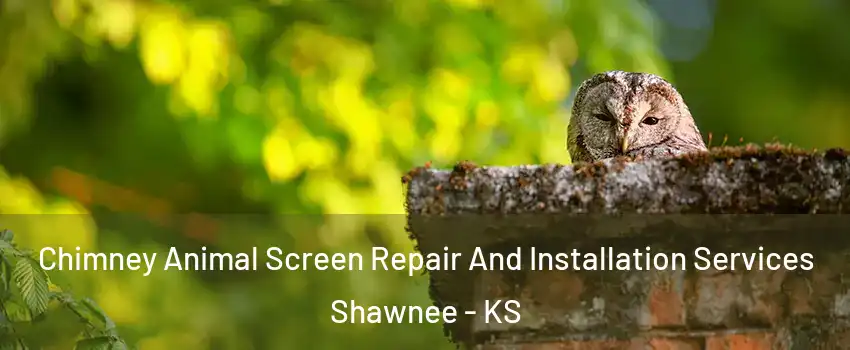  Chimney Animal Screen Repair And Installation Services Shawnee - KS