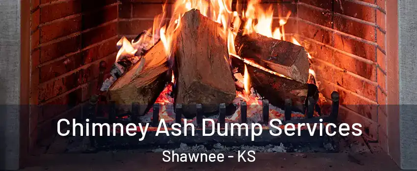  Chimney Ash Dump Services Shawnee - KS