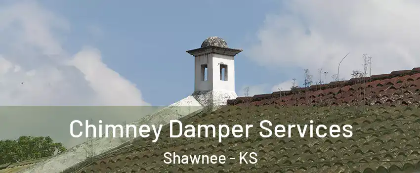  Chimney Damper Services Shawnee - KS
