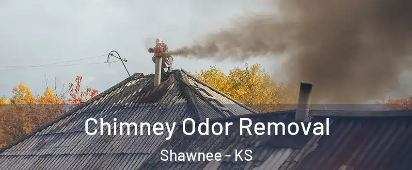 Chimney Odor Removal Shawnee - KS
