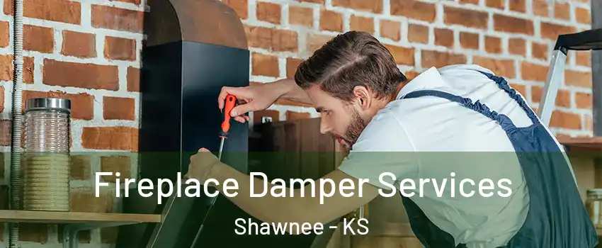  Fireplace Damper Services Shawnee - KS