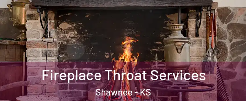  Fireplace Throat Services Shawnee - KS
