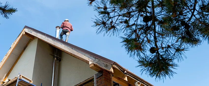Birds Removal Contractors from Chimney in Shawnee, KS