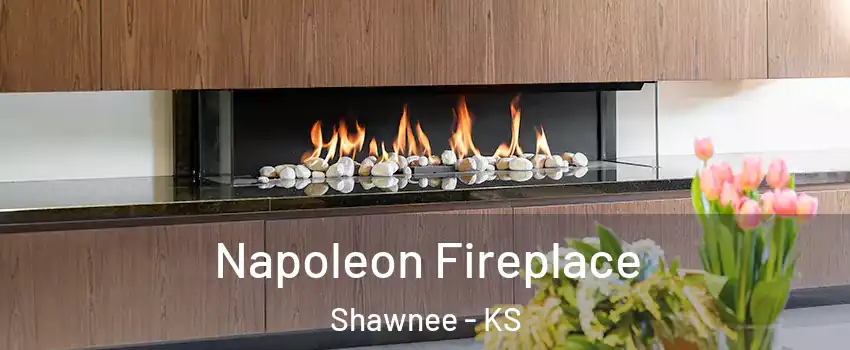  Napoleon Fireplace Shawnee - KS