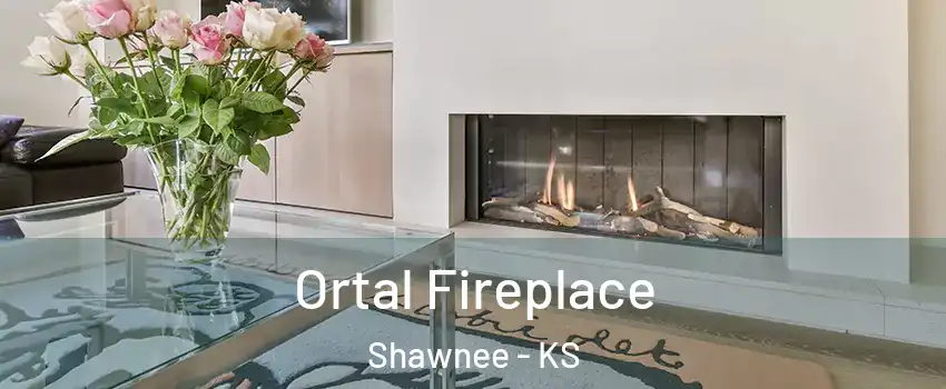 Ortal Fireplace Shawnee - KS